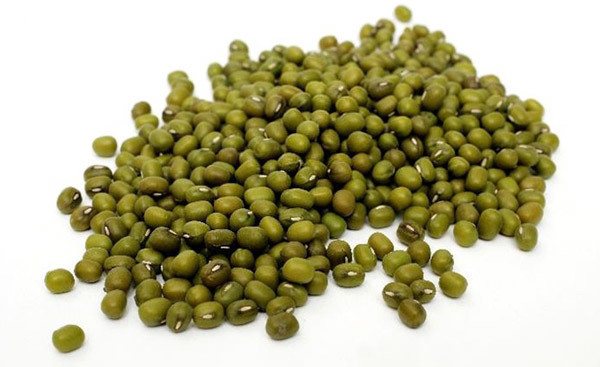 Feijão verde 3